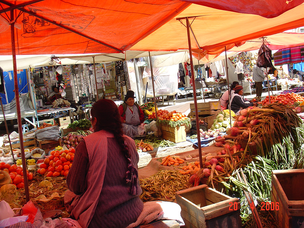 DSC03347.jpg