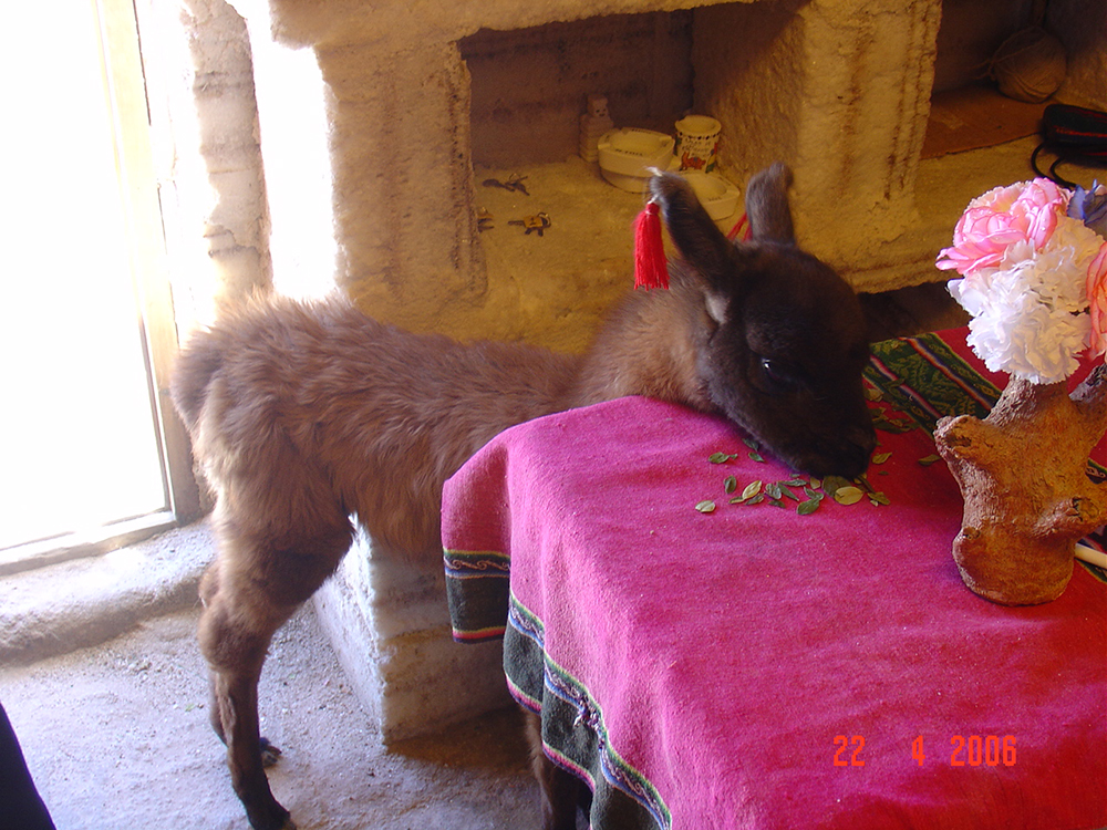 DSC03583.jpg
