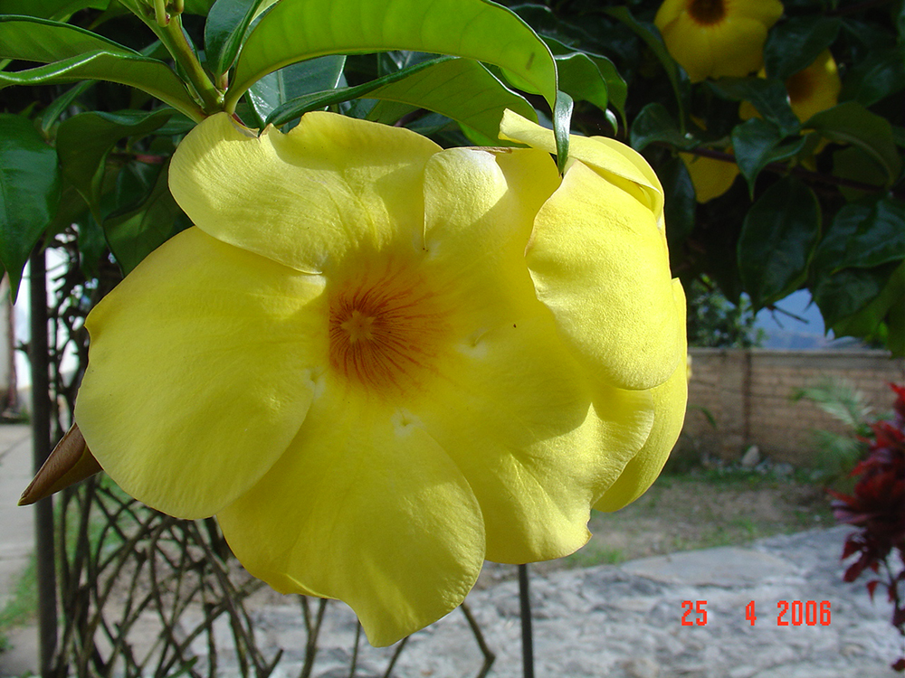 DSC03917.jpg