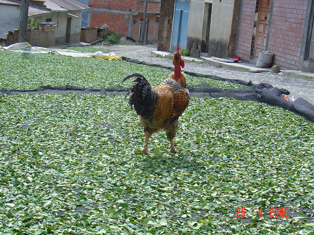 DSC03988.jpg