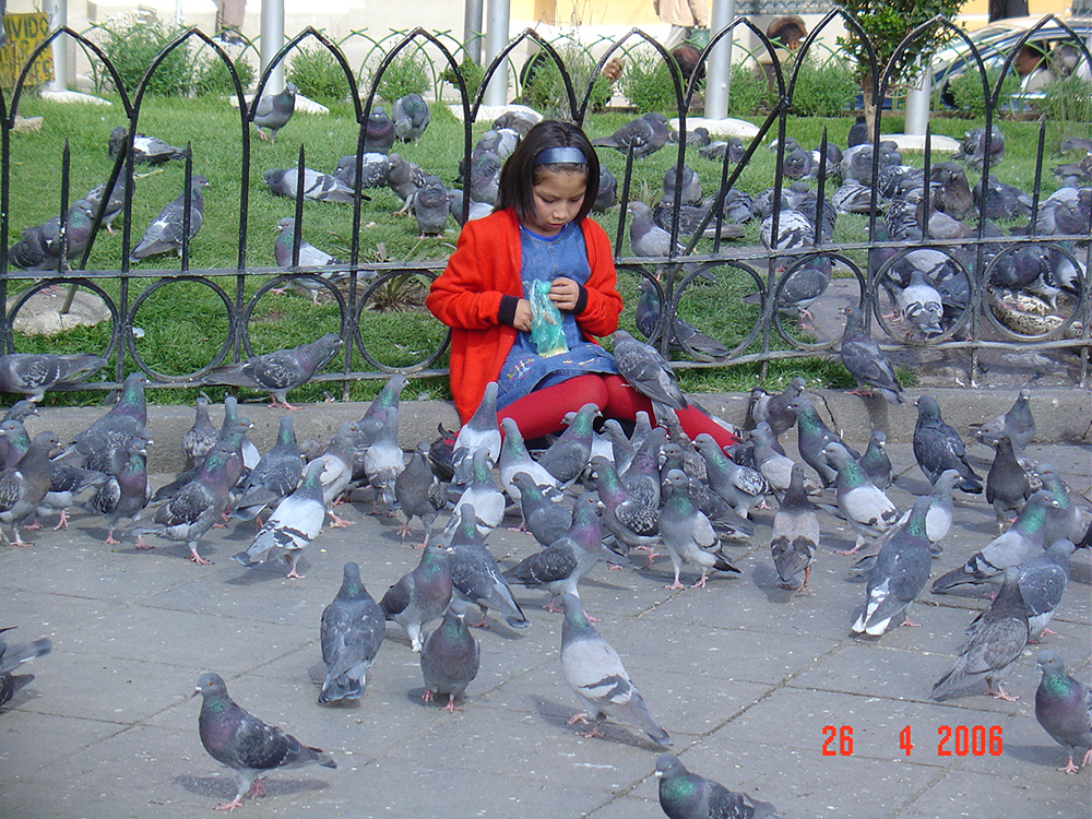 DSC04276.jpg