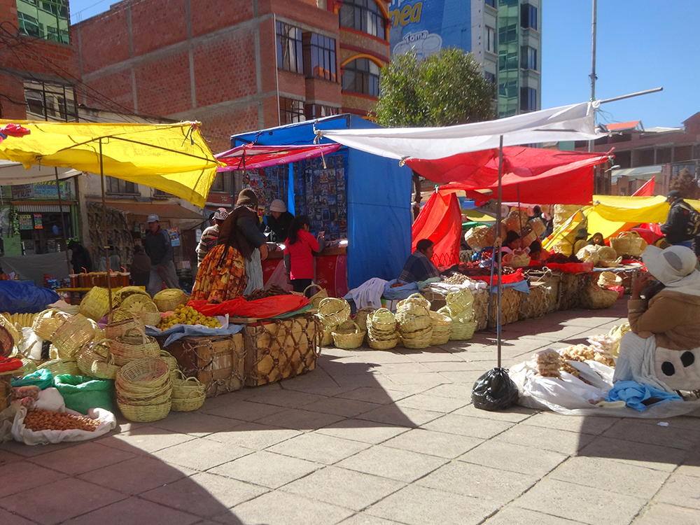 DSC00750.JPG